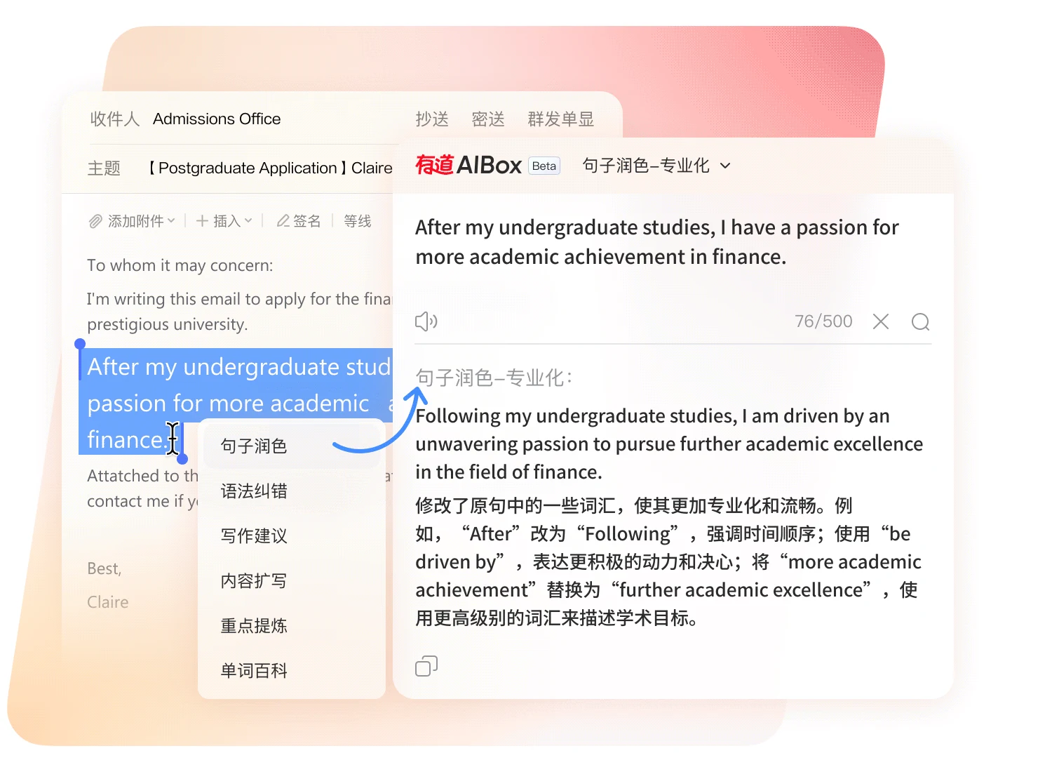 有道翻译桌面端功能界面，展示专业文献翻译功能导航